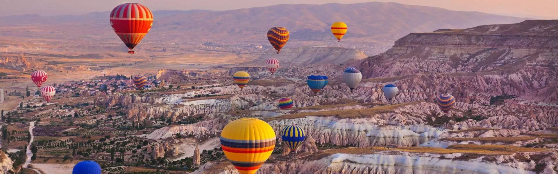 Contact Us 1 NAATI Turkish Translations